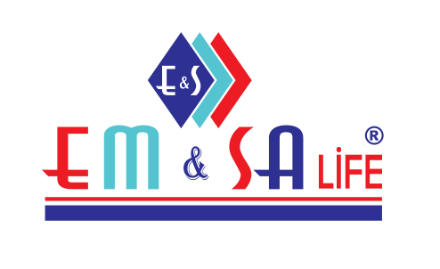 Emsa